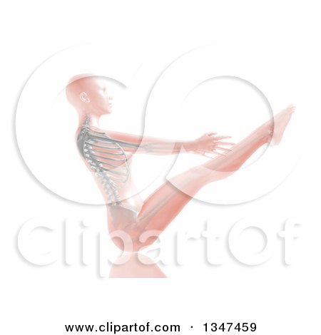 Clipart of a 3d Pink Anatomical Woman Stretching in a Yoga Pose, with Visible Skeleton, on White - Royalty Free Illustration by KJ Pargeter