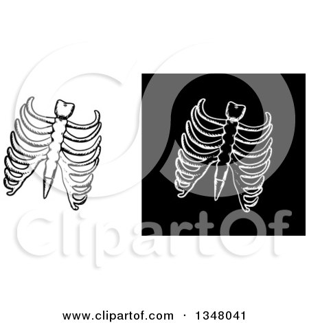 Clipart of Black and White Sketched Ribs, on White and Black Backgrounds - Royalty Free Vector Illustration by Vector Tradition SM