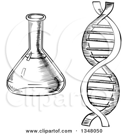 Clipart of a Black and White Sketched Laboratory Flask and Dna Strand - Royalty Free Vector Illustration by Vector Tradition SM