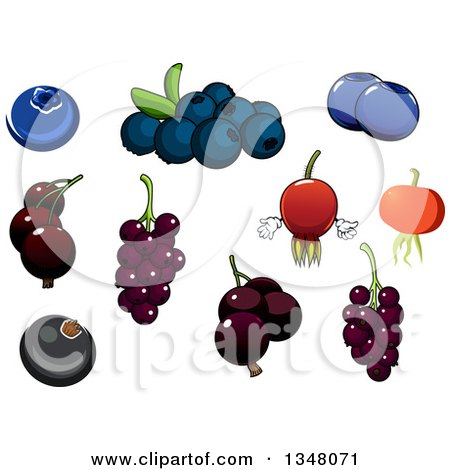 Clipart of Cartoon Blueberries, Currants and Briar Fruit Rose Hips - Royalty Free Vector Illustration by Vector Tradition SM