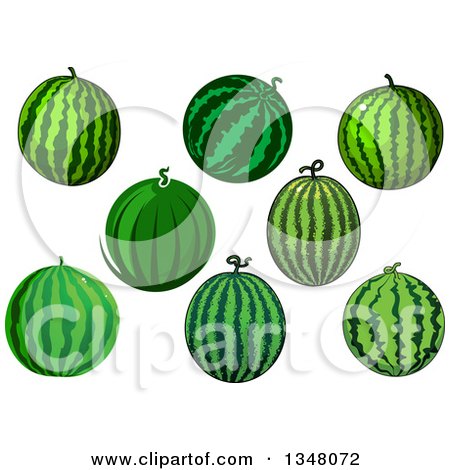 Clipart of Cartoon Watermelons - Royalty Free Vector Illustration by Vector Tradition SM