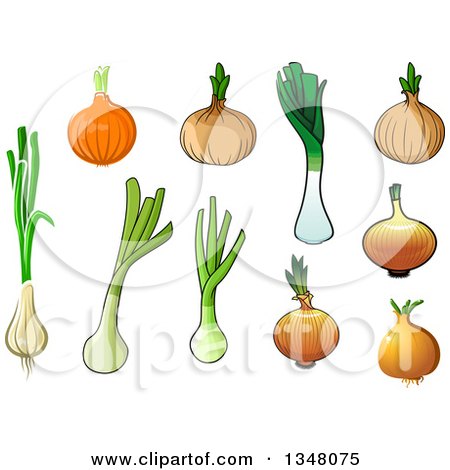 Clipart of Cartoon Onions, Green Onions and Leeks - Royalty Free Vector Illustration by Vector Tradition SM