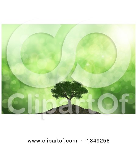 Clipart of a 3d Mature Tree on a Hill over Green Flares and Rays - Royalty Free Illustration by KJ Pargeter