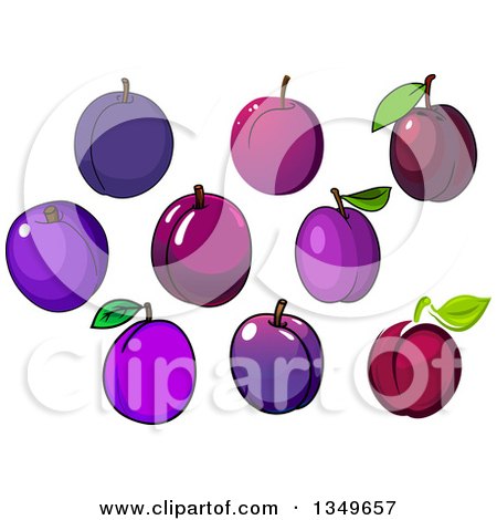 Clipart of Cartoon Plums - Royalty Free Vector Illustration by Vector Tradition SM