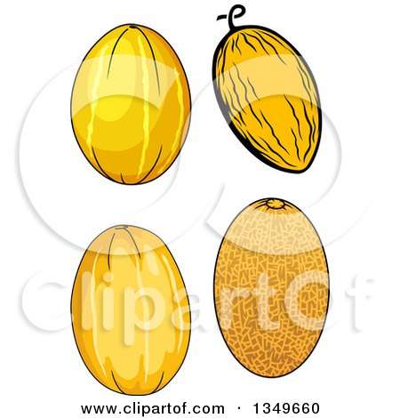 Clipart of Cartoon Canary and Cantaloupe Melons - Royalty Free Vector Illustration by Vector Tradition SM