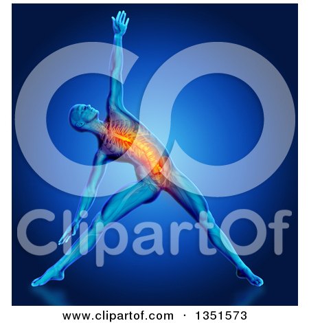 Clipart of a 3d Anatomical Man Stretching in a Yoga Pose, with His Spine and Torso Highlighted, on Blue - Royalty Free Illustration by KJ Pargeter