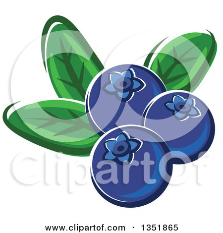 Clipart of Cartoon Blueberries with Leaves - Royalty Free Vector Illustration by Vector Tradition SM