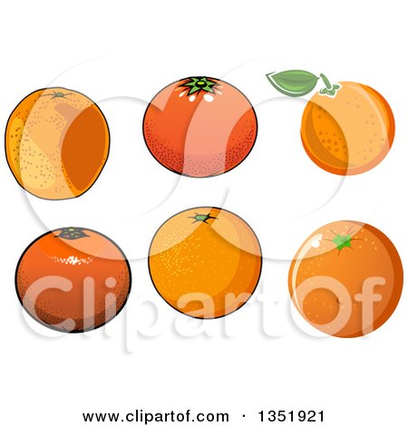 Clipart of Cartoon Oranges - Royalty Free Vector Illustration by Vector Tradition SM
