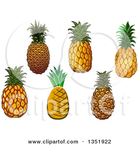 Clipart of Pineapples - Royalty Free Vector Illustration by Vector Tradition SM