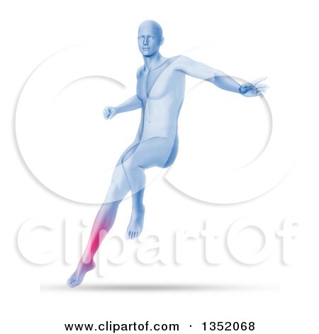 Clipart of a 3d Blue Anatomical Man Jumping and Landing with Visible Glowing Calf, on Shaded White - Royalty Free Illustration by KJ Pargeter