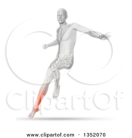 Clipart of a 3d Anatomical Man Jumping and Landing with Visible Glowing Calf Pain and Lower Skeleton, on Shaded White - Royalty Free Illustration by KJ Pargeter