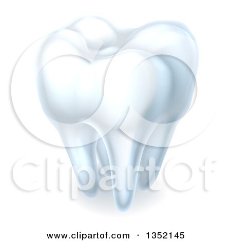 Clipart of a 3d Shiny White Tooth with Shading - Royalty Free Vector Illustration by AtStockIllustration