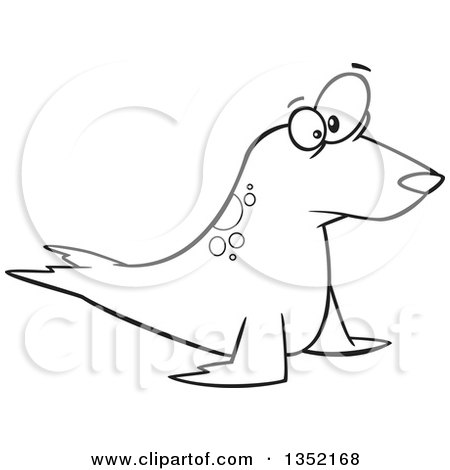 Outline Clipart of a Cartoon Black and White Staring Seal - Royalty Free Lineart Vector Illustration by toonaday