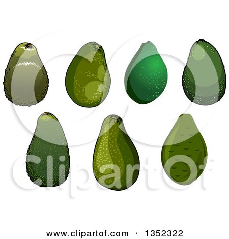 Clipart of Green Avocados - Royalty Free Vector Illustration by Vector Tradition SM