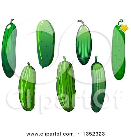 Clipart of Green Cucumbers - Royalty Free Vector Illustration by Vector Tradition SM