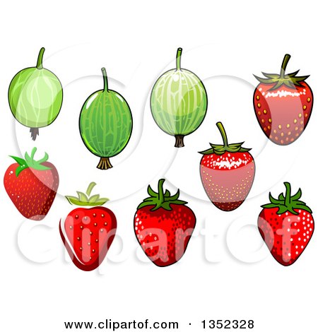 Clipart of Cartoon Gooseberries and Strawberries - Royalty Free Vector Illustration by Vector Tradition SM