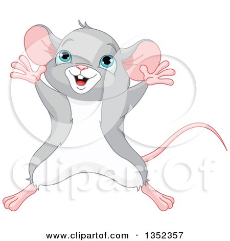Clipart of a Cute Happy Gray and White Mouse Jumping - Royalty Free Vector Illustration by Pushkin