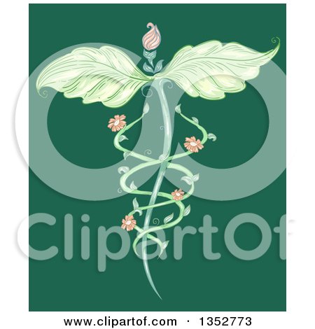 Clipart of a Leaf Winged Naturopathic Floral Vine Caduceus on Green - Royalty Free Vector Illustration by BNP Design Studio