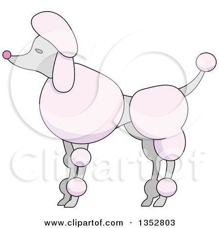 Clipart of a Pink Poodle - Royalty Free Vector Illustration by BNP Design Studio