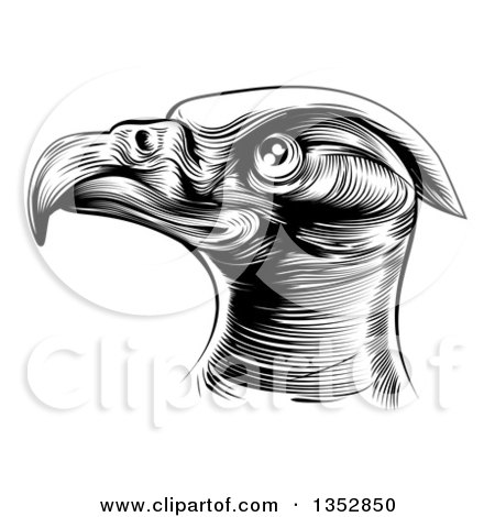 Clipart of a Black and White Woodcut or Engraved Bald Eagle Head - Royalty Free Vector Illustration by AtStockIllustration