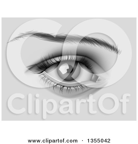 Clipart of a Grayscale Feminine Eye - Royalty Free Vector Illustration by vectorace