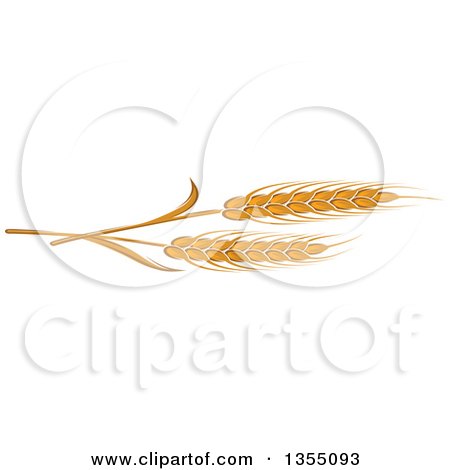Clipart of Cartoon Golden Wheat - Royalty Free Vector Illustration by Vector Tradition SM