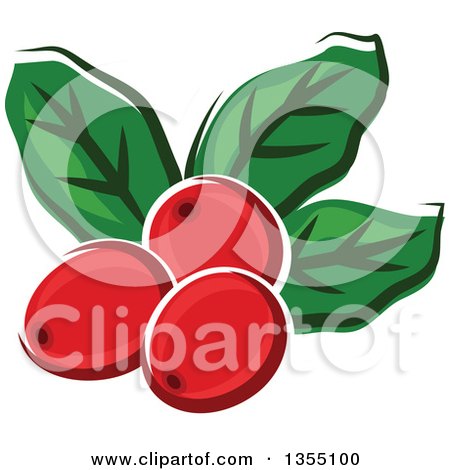 Clipart of Cartoon Arabica Coffee Berries and Leaves - Royalty Free Vector Illustration by Vector Tradition SM