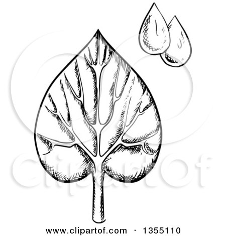 Clipart of a Black and White Sketched Veined Leaf and Water Drops - Royalty Free Vector Illustration by Vector Tradition SM