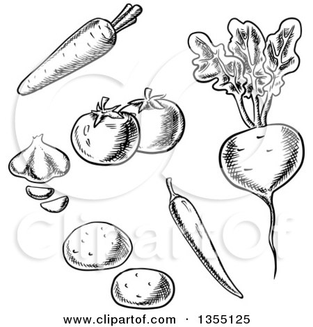 Clipart of Black and White Sketched Carrot, Tomatoes, Garlic, Potatoes, Chili Pepper and Beet - Royalty Free Vector Illustration by Vector Tradition SM