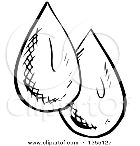 Clipart of Black and White Sketched Water Drops - Royalty Free Vector Illustration by Vector Tradition SM