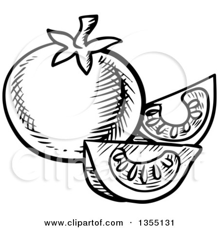 Clipart of a Black and White Sketched Tomato and Wedges - Royalty Free Vector Illustration by Vector Tradition SM