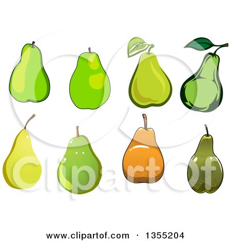 Clipart of Pears - Royalty Free Vector Illustration by Vector Tradition SM