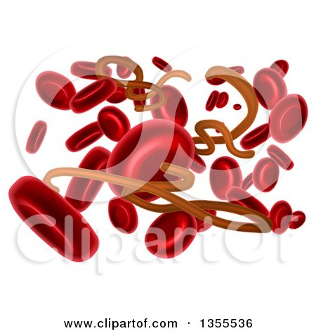 Clipart of 3d Blood Cells and the Ebola Virus - Royalty Free Vector Illustration by AtStockIllustration