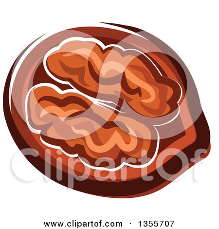 Clipart of a Cartoon Halved Walnut - Royalty Free Vector Illustration by Vector Tradition SM
