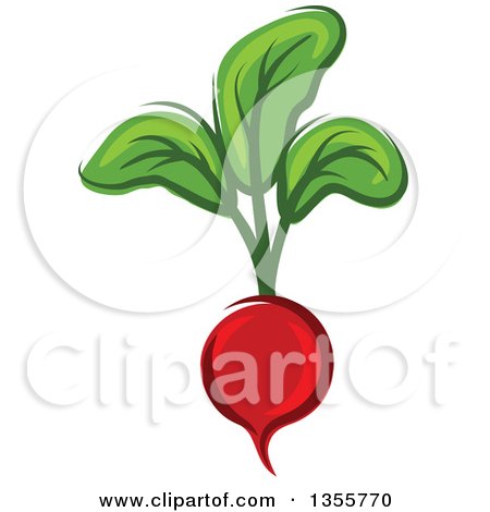 Clipart of a Cartoon Radish - Royalty Free Vector Illustration by Vector Tradition SM