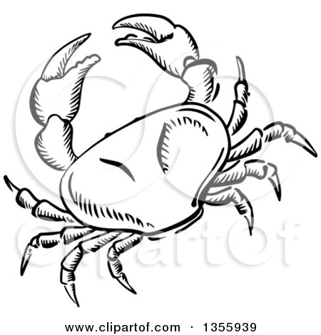 Clipart of a Black and White Sketched Crab - Royalty Free Vector Illustration by Vector Tradition SM