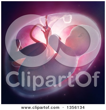 Clipart of a 3d Human Fetus Inside the Womb with Pink Lighting - Royalty Free Illustration by Mopic