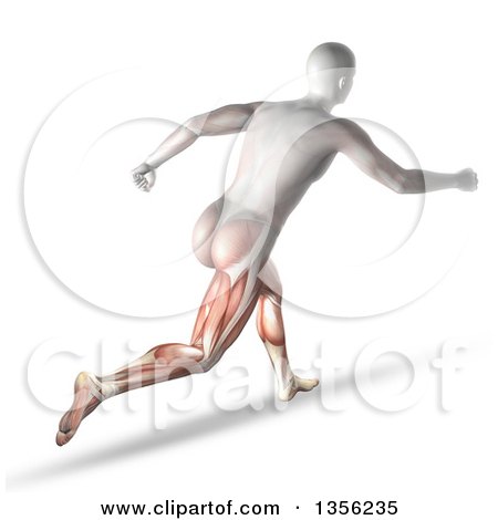 Clipart of a 3d Anatomical Man with Visible Leg Muscles, Running, on a White Background - Royalty Free Illustration by KJ Pargeter