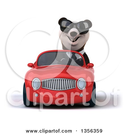 Clipart of a 3d Business Panda Wearing Sunglasses and Driving a Red Convertible Car, on a White Background - Royalty Free Illustration by Julos