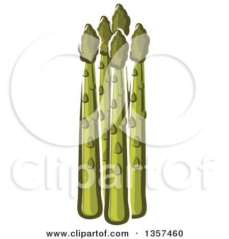 Clipart of Cartoon Asparagus Stalks - Royalty Free Vector Illustration by Vector Tradition SM