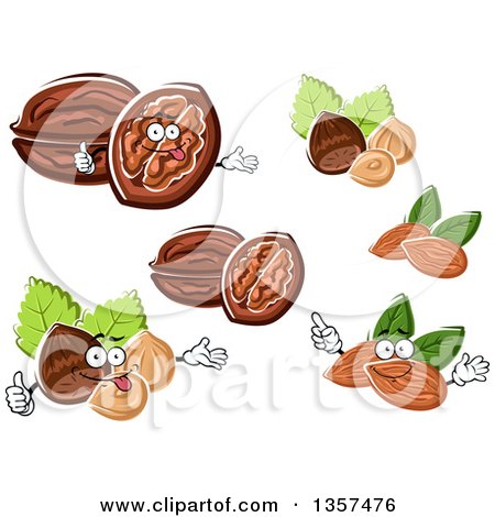 Clipart of Cartoon Walnuts, Hazelnuts and Almonds - Royalty Free Vector Illustration by Vector Tradition SM