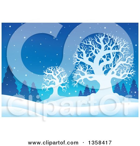 Clipart of a Snowy Winter Night Background with Silhouetted Bare Trees and Evergreens - Royalty Free Vector Illustration by visekart