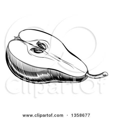 Clipart of a Black and White Woodcut or Engraved Halved Pear - Royalty Free Vector Illustration by AtStockIllustration