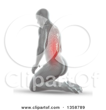 Clipart of a 3d Anatomical Man Kneeling on the Floor, with Glowing Spine or Back Pain and Visible Skeleton, on White - Royalty Free Illustration by KJ Pargeter