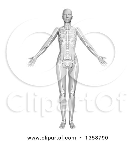 Clipart of a 3d Grayscale Anatomical Woman Standing with Visible Skeleton, on White - Royalty Free Illustration by KJ Pargeter