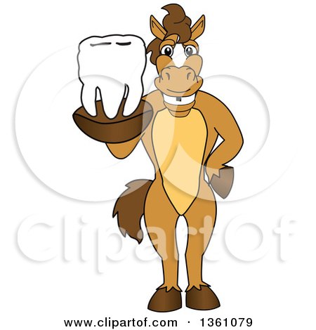 Clipart of a Horse Colt Bronco Stallion or Mustang School Mascot Character Holding a Tooth - Royalty Free Vector Illustration by Mascot Junction