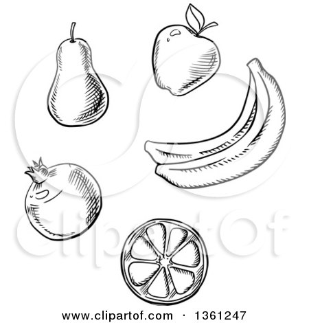 Clipart of Black and White Sketched Fruits - Royalty Free Vector Illustration by Vector Tradition SM