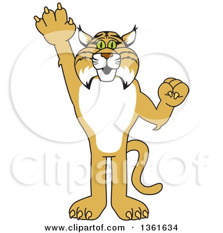 Clipart of a Bobcat School Mascot Character Holding up a Hand, Symbolizing Responsibility - Royalty Free Vector Illustration by Toons4Biz