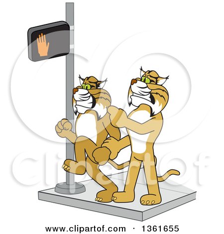 Clipart of a Bobcat School Mascot Character Stopping Another from Using a Crosswalk at the Wrong Time, Symbolizing Safety - Royalty Free Vector Illustration by Toons4Biz