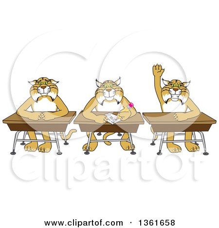 Clipart of Bobcat School Mascot Characters Sitting at Desks, One Raising His Hand, Symbolizing Respect - Royalty Free Vector Illustration by Mascot Junction